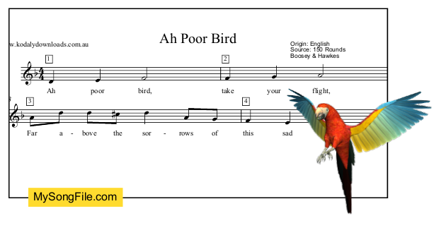 Ah Poor Bird